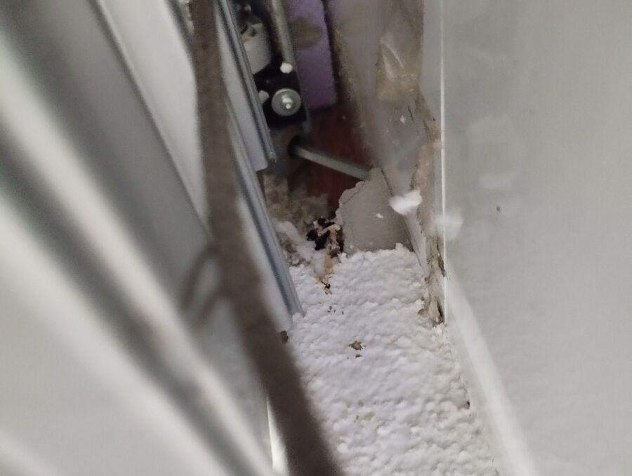 ratten_bekaempfung_ratten_vertreiben