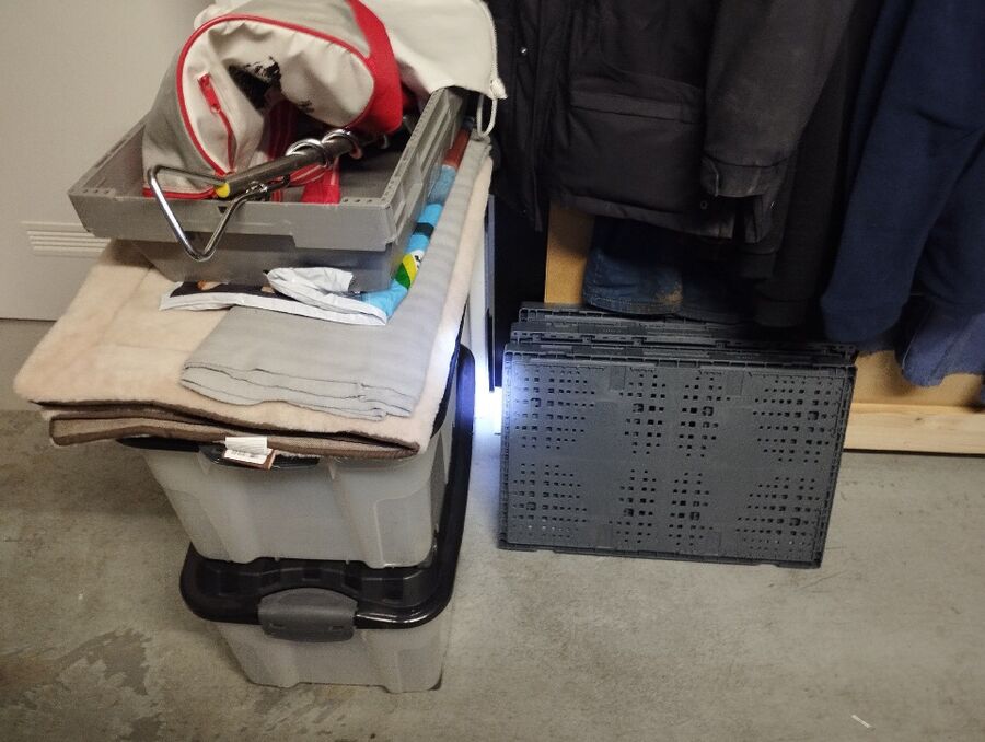 ratten_bekaempfung_ratten_vertreiben