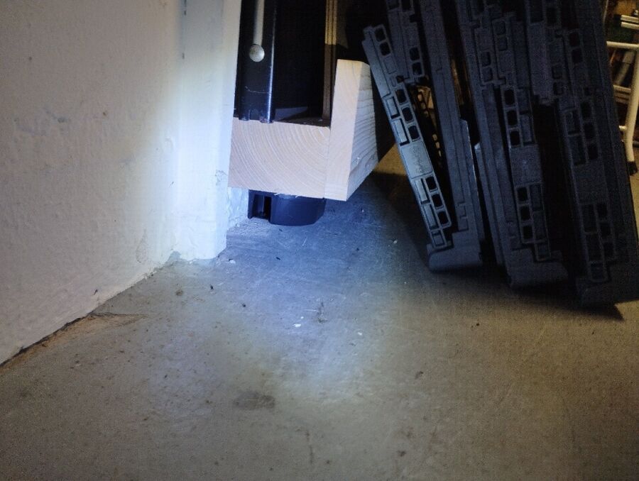 ratten_bekaempfung_ratten_vertreiben