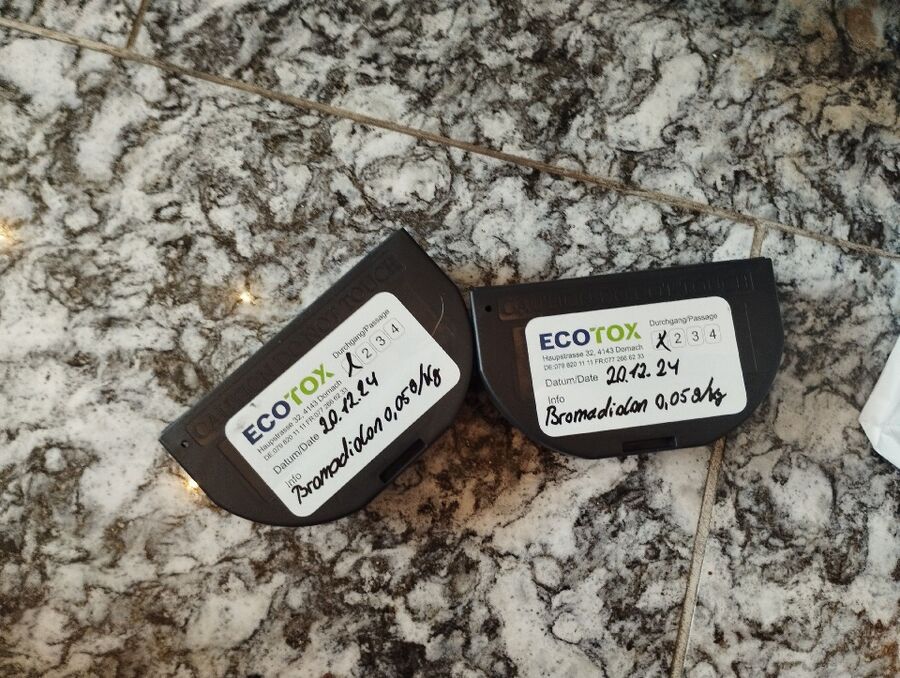 ratten_bekaempfung_ratten_vertreiben