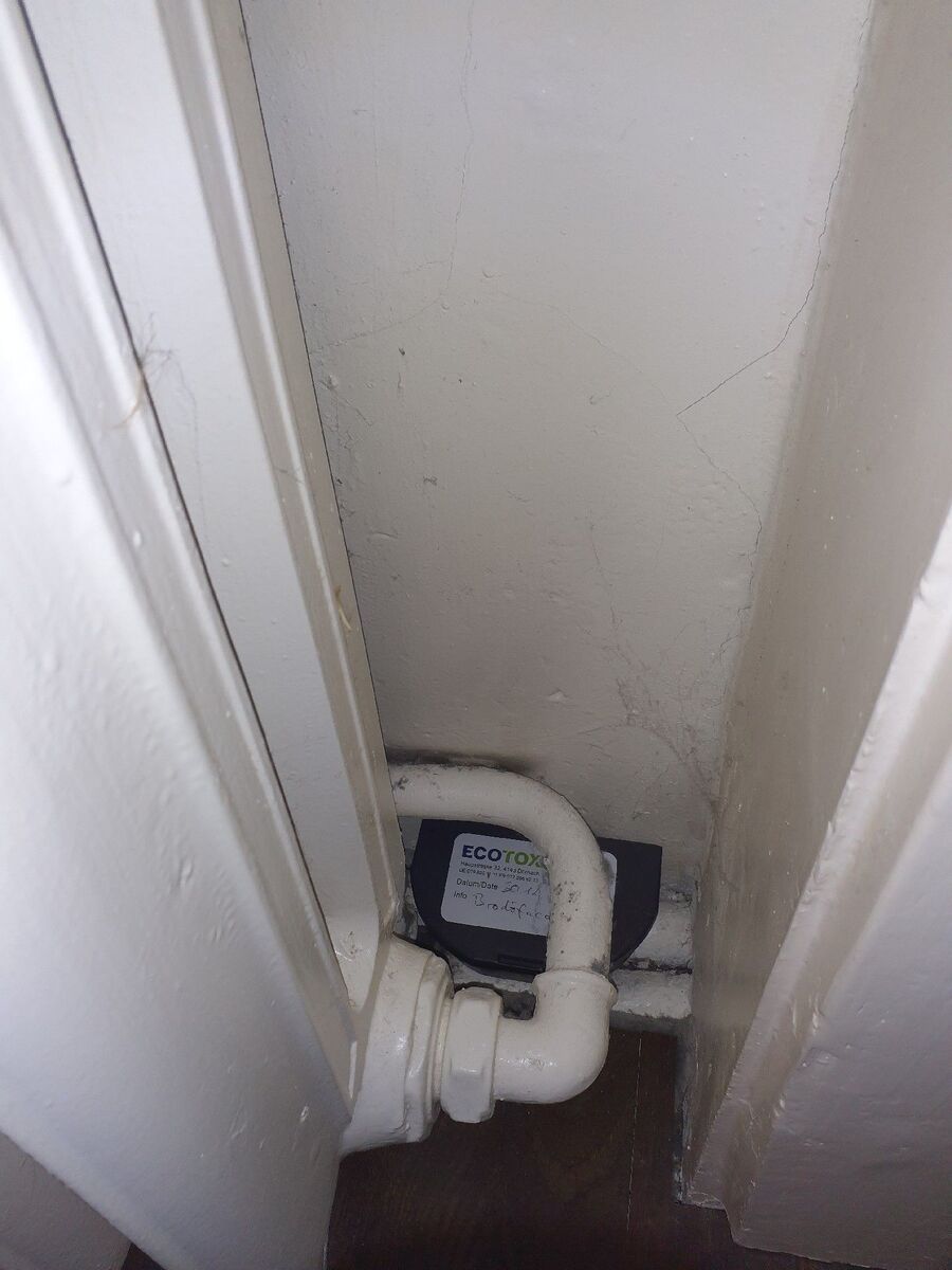 ratten_bekaempfung_ratten_vertreiben