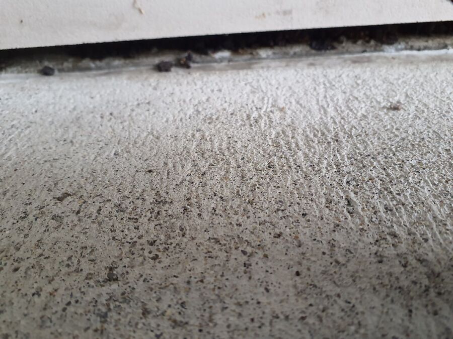 ratten_bekaempfung_ratten_vertreiben