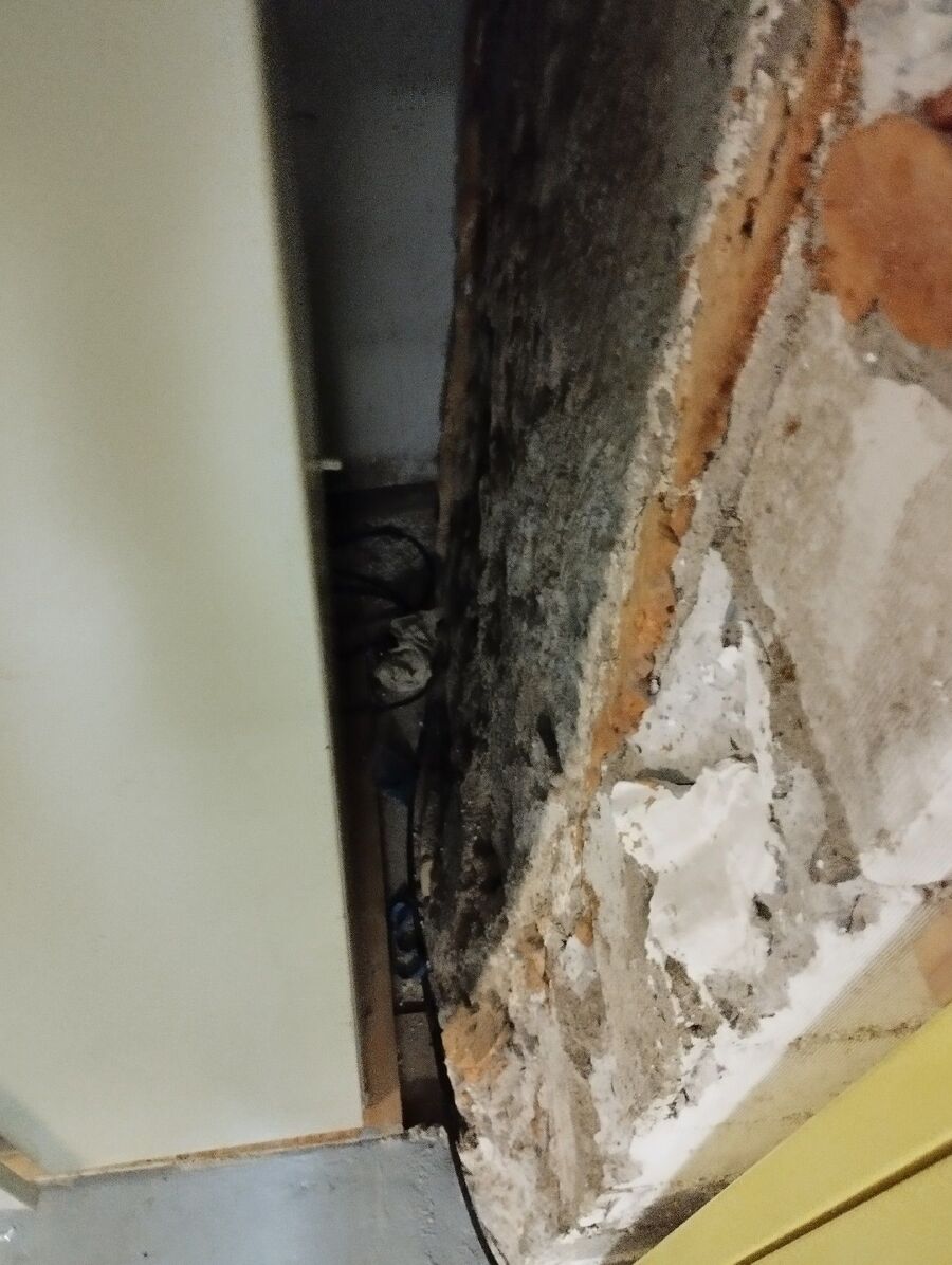 ratten_bekaempfung_ratten_vertreiben