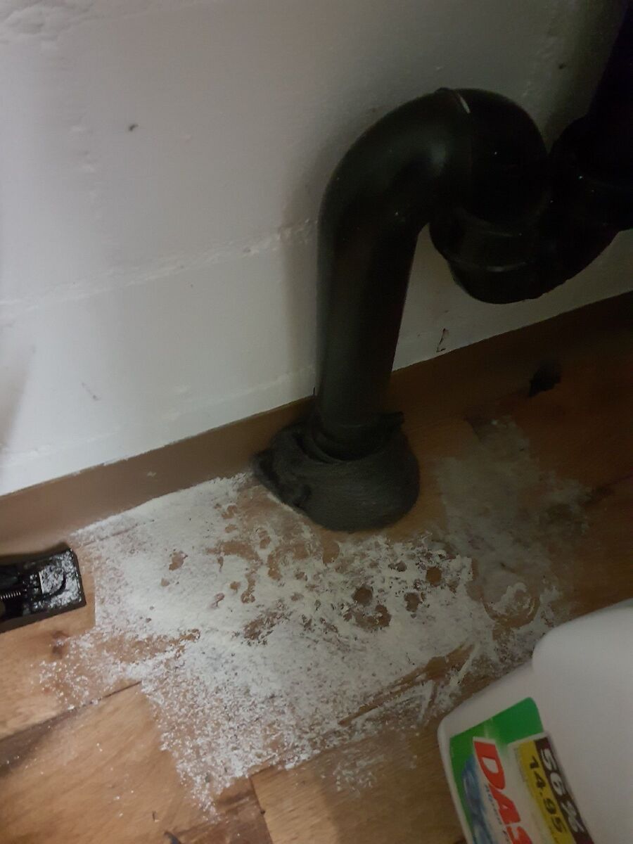 ratten_bekaempfung_ratten_vertreiben