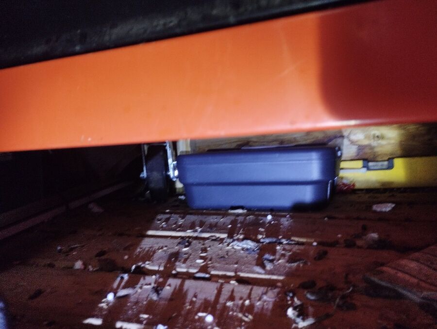 ratten_bekaempfung_ratten_vertreiben