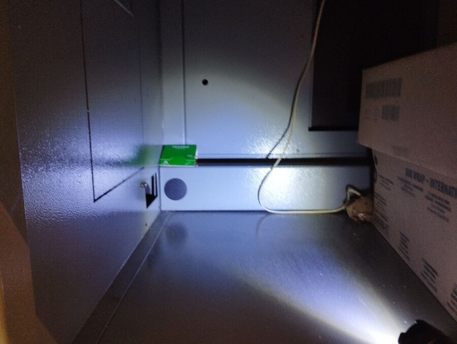 ratten_bekaempfung_ratten_vertreiben