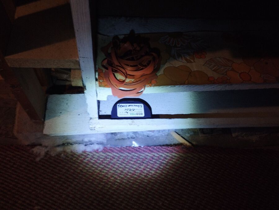 ratten_bekaempfung_ratten_vertreiben