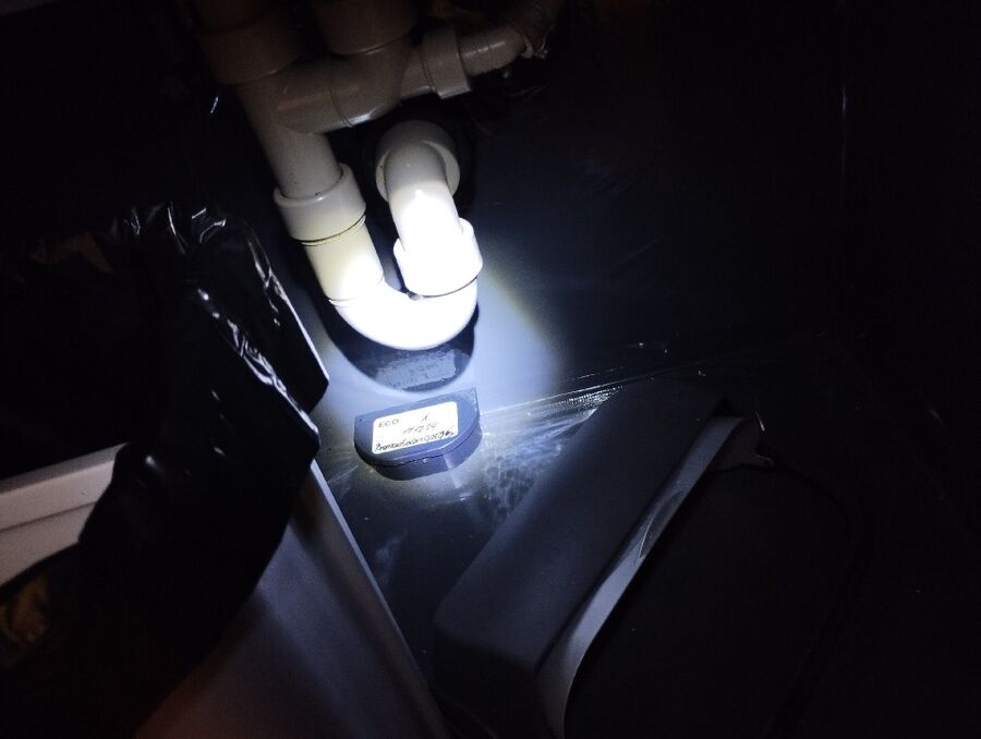 ratten_bekaempfung_ratten_vertreiben