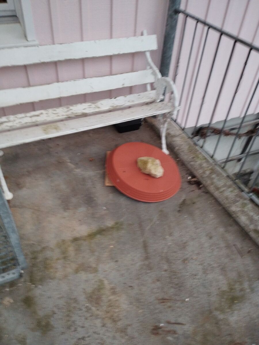 ratten_bekaempfung_ratten_vertreiben