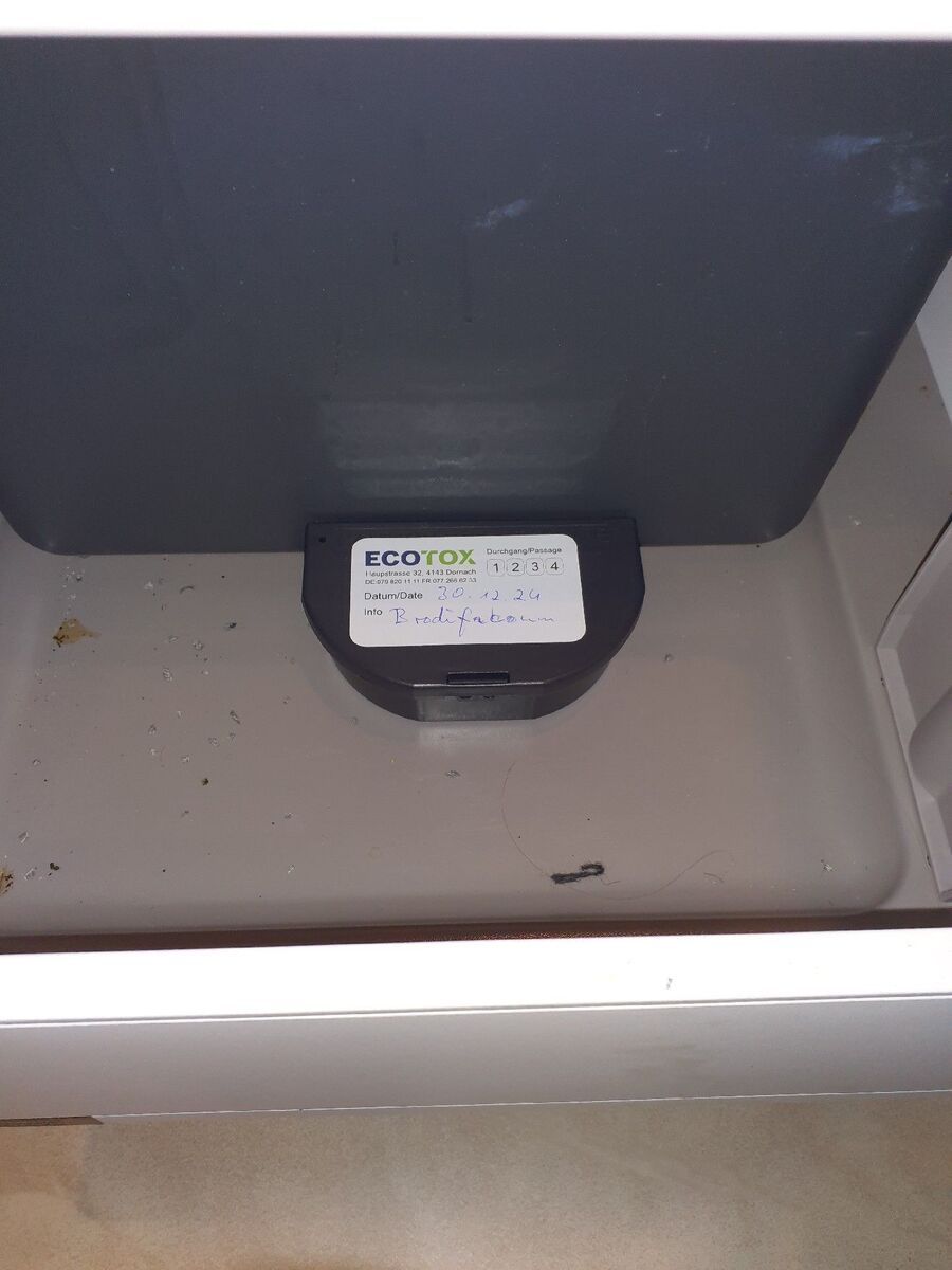 ratten_bekaempfung_ratten_vertreiben