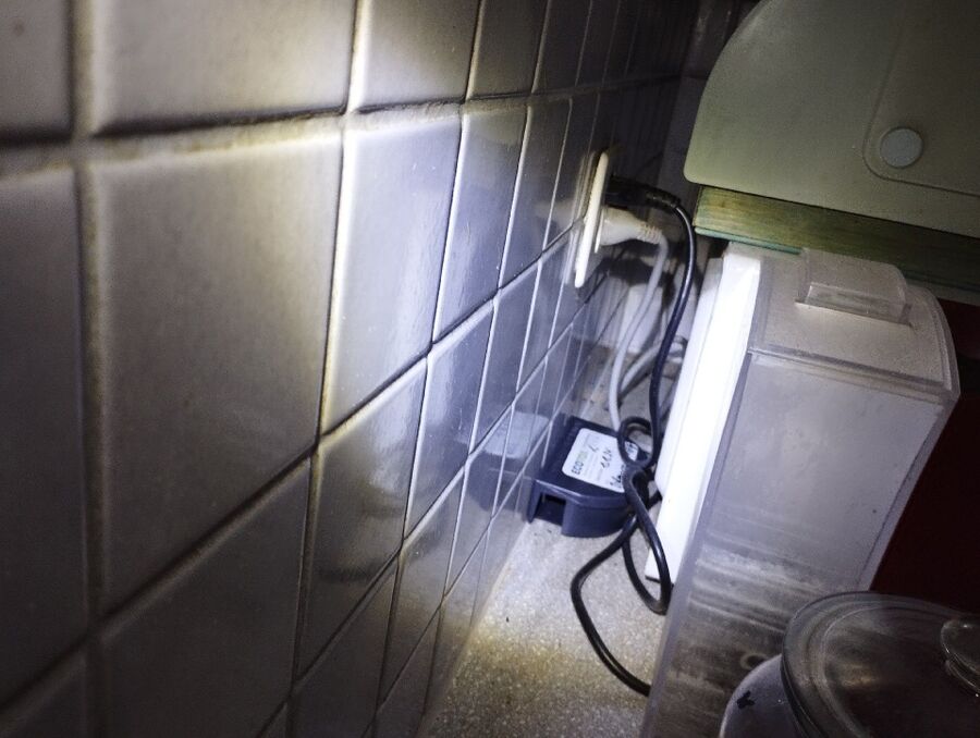 ratten_bekaempfung_ratten_vertreiben