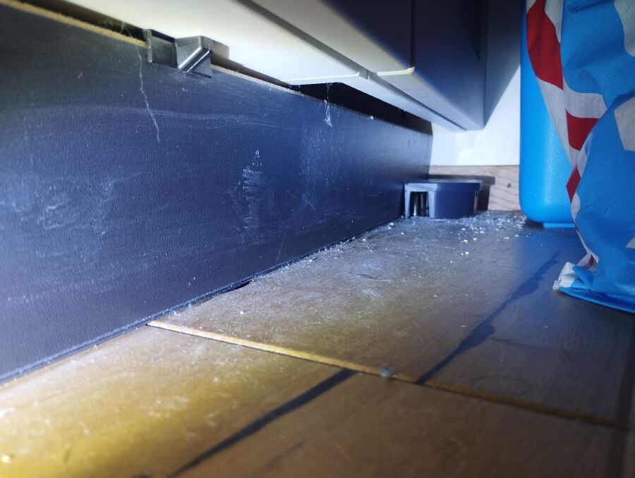 ratten_bekaempfung_ratten_vertreiben