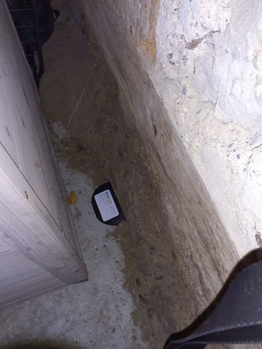 ratten_bekaempfung_ratten_vertreiben