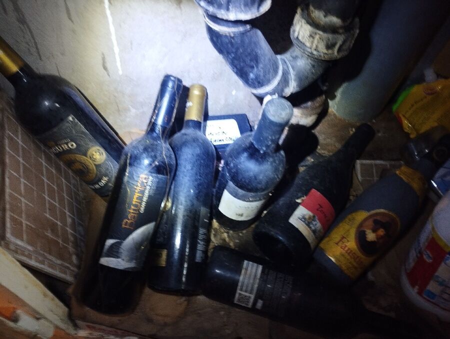 ratten_bekaempfung_ratten_vertreiben