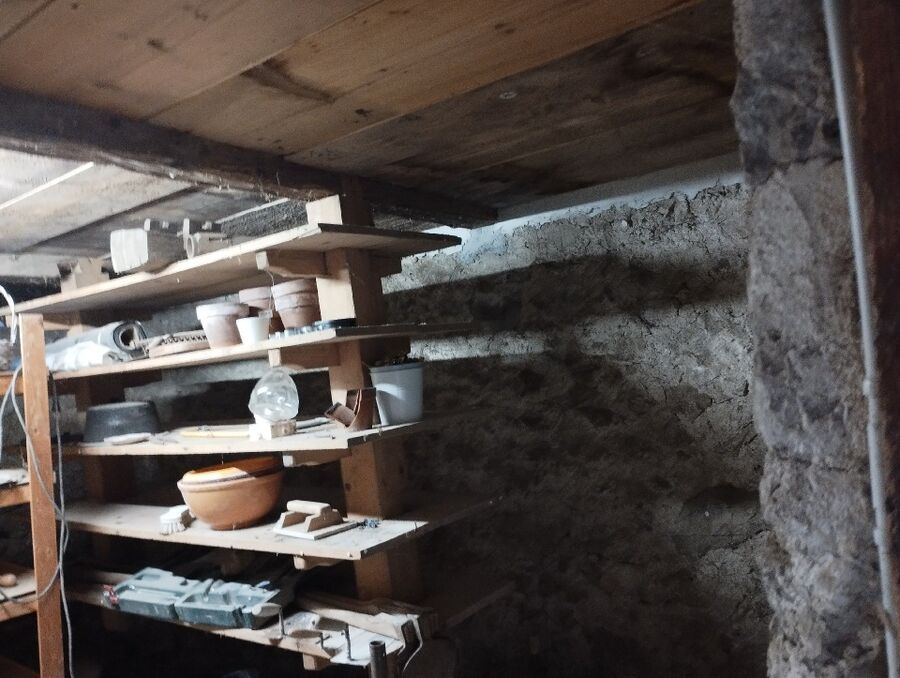 ratten_bekaempfung_ratten_vertreiben