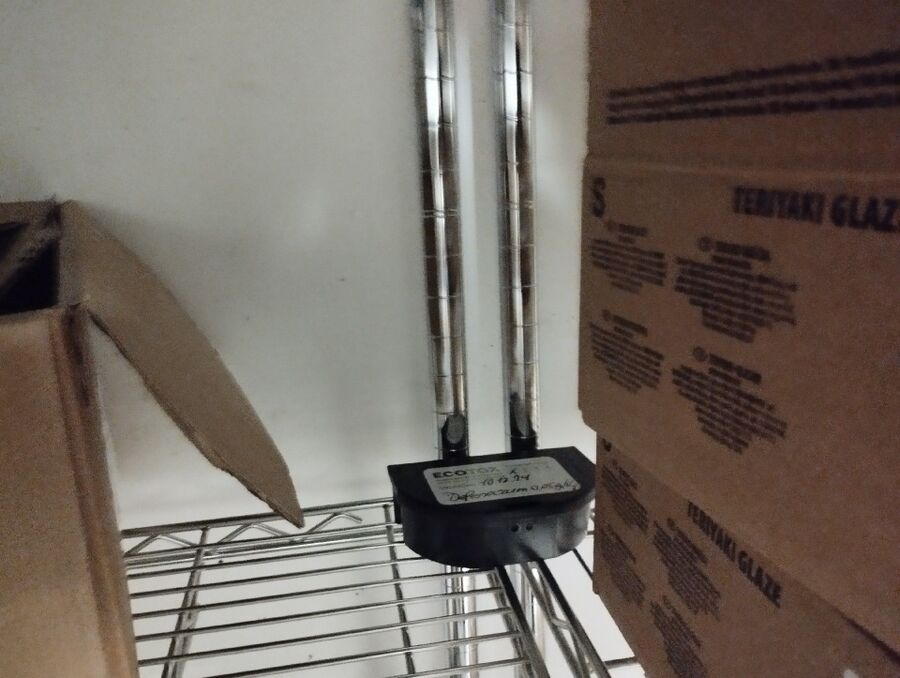 ratten_bekaempfung_ratten_vertreiben