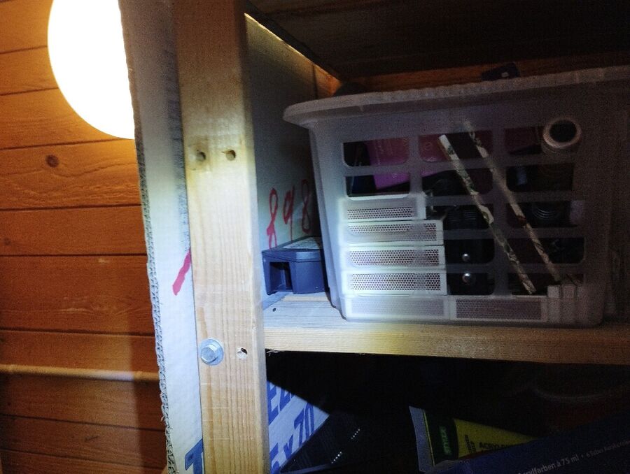 ratten_bekaempfung_ratten_vertreiben