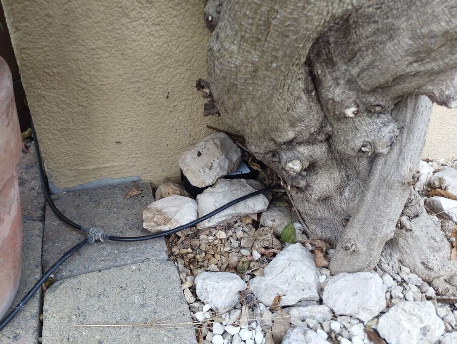 ratten_bekaempfung_ratten_vertreiben