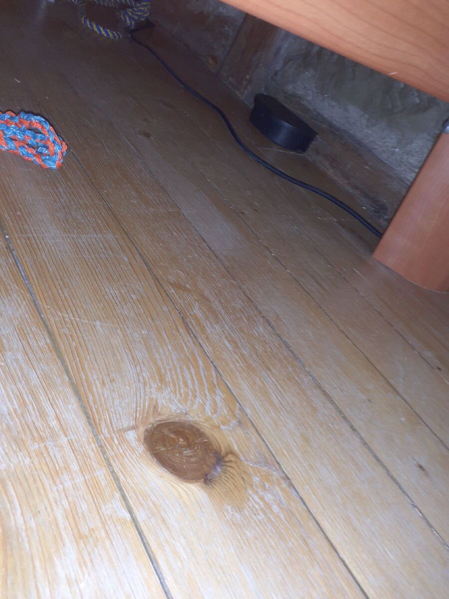 ratten_bekaempfung_ratten_vertreiben