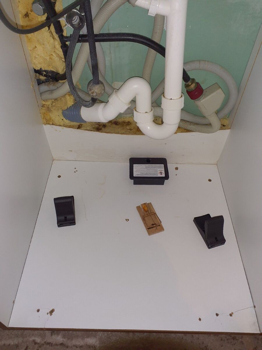 ratten_bekaempfung_ratten_vertreiben