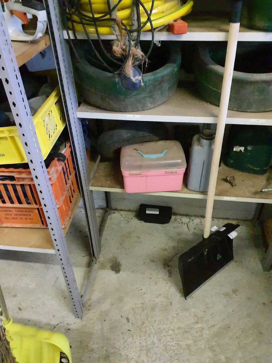 ratten_bekaempfung_ratten_vertreiben