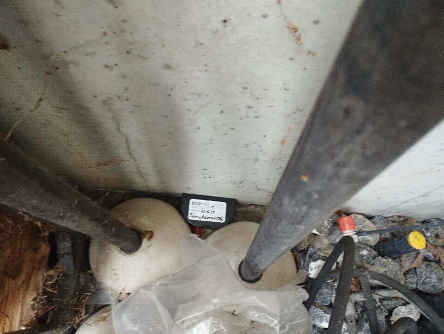 ratten_bekaempfung_ratten_vertreiben