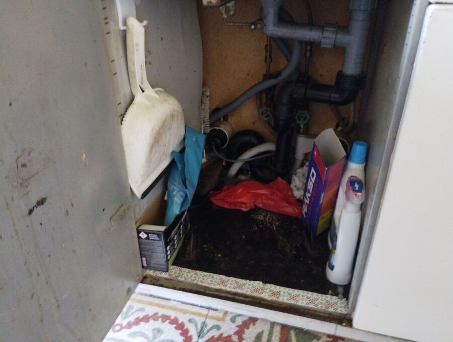 ratten_bekaempfung_ratten_vertreiben