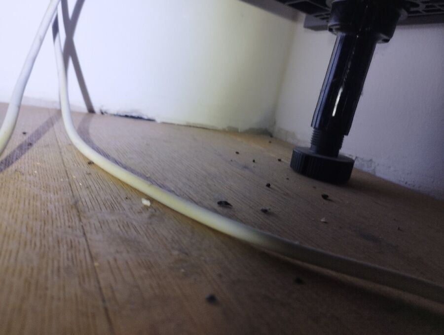 ratten_bekaempfung_ratten_vertreiben