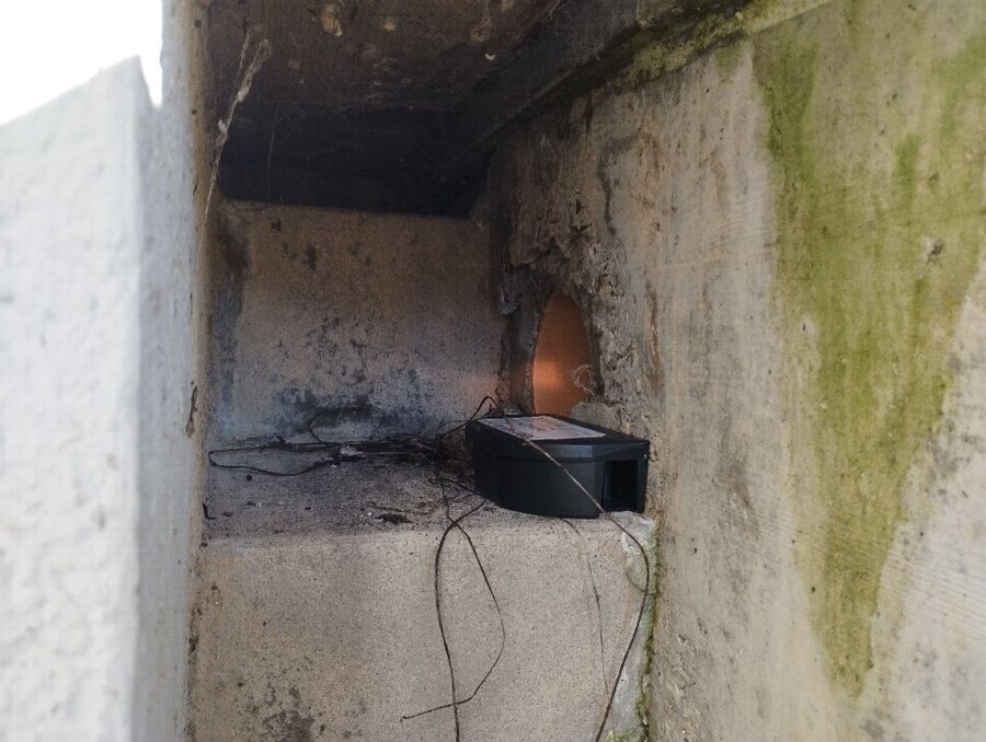 ratten_bekaempfung_ratten_vertreiben