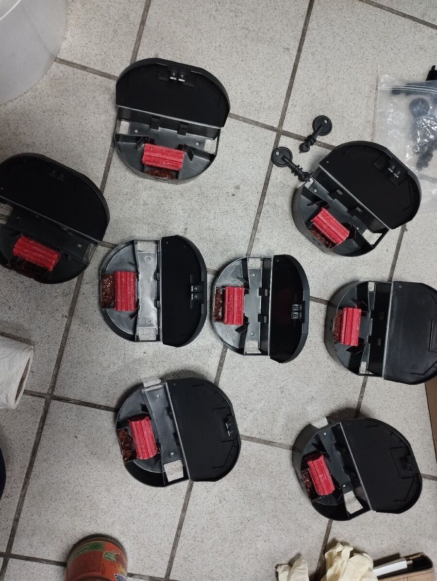 ratten_bekaempfung_ratten_vertreiben