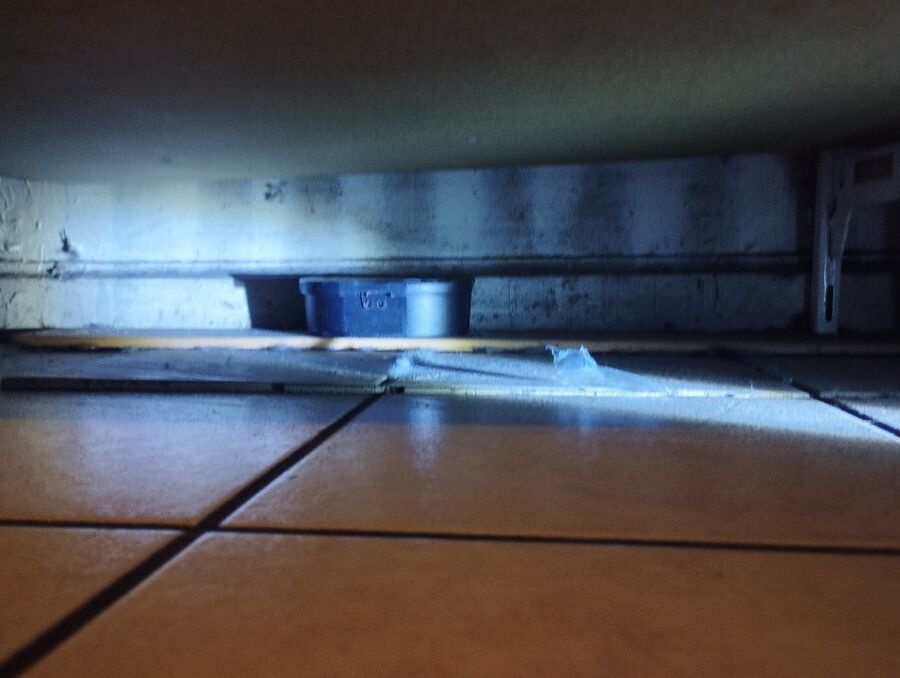 ratten_bekaempfung_ratten_vertreiben