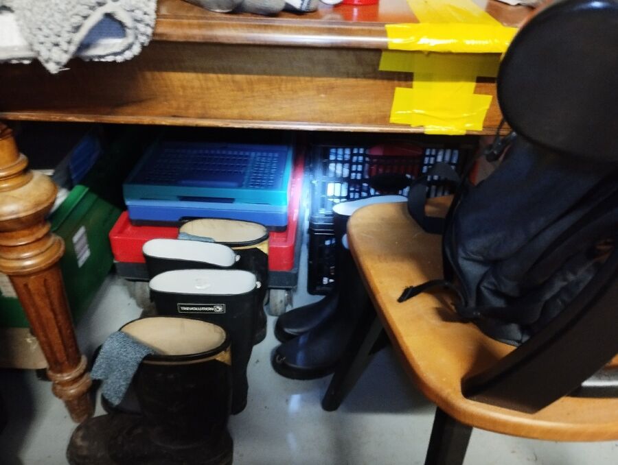 ratten_bekaempfung_ratten_vertreiben