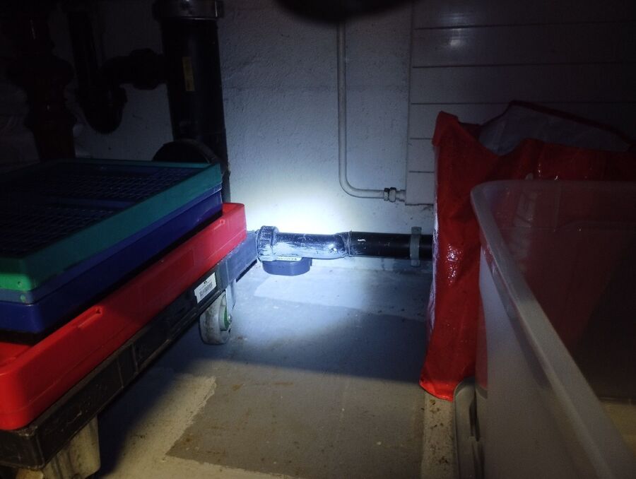 ratten_bekaempfung_ratten_vertreiben