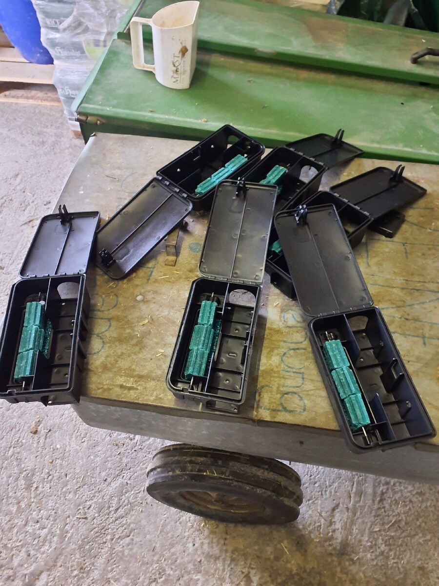 ratten_bekaempfung_ratten_vertreiben