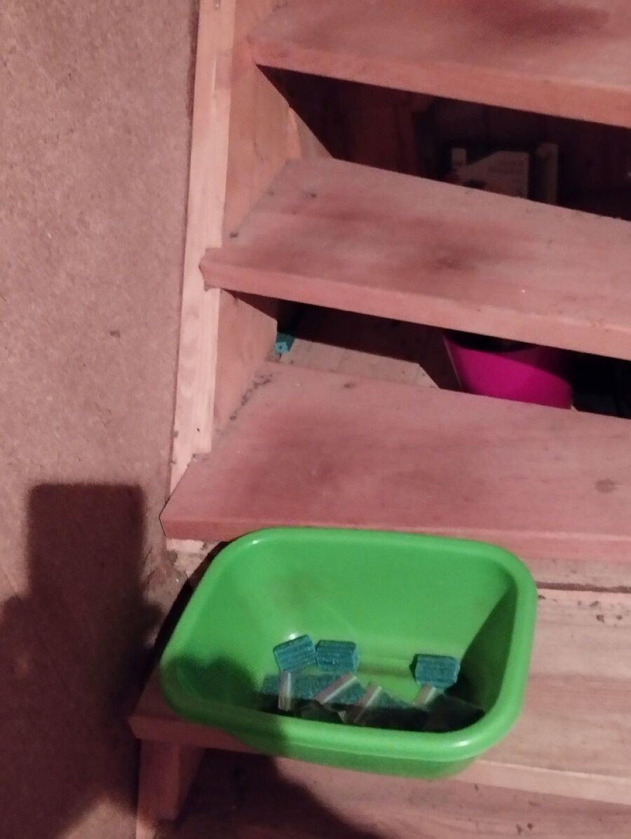 ratten_bekaempfung_ratten_vertreiben