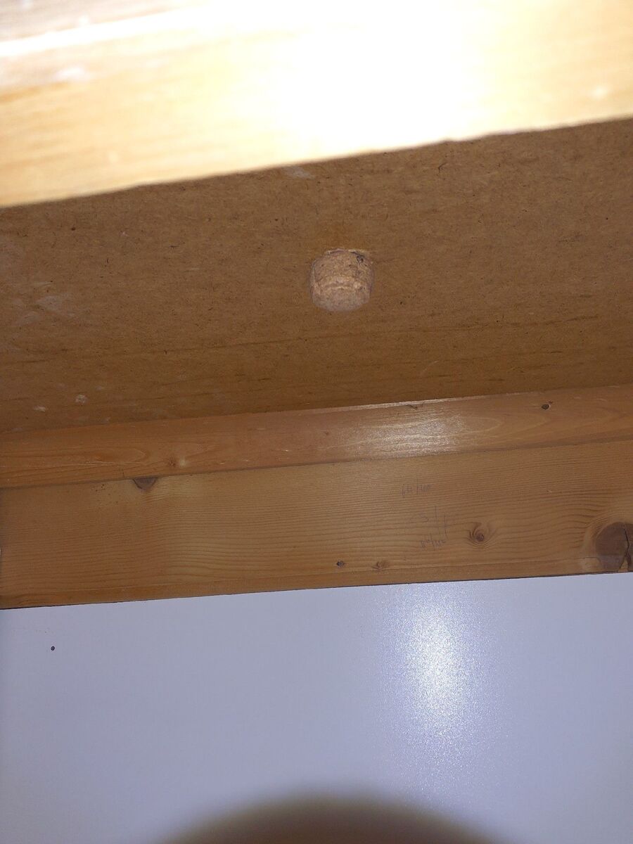 ratten_bekaempfung_ratten_vertreiben