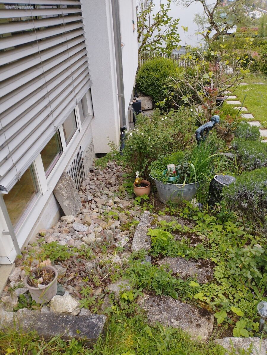 ratten_bekaempfung_ratten_vertreiben