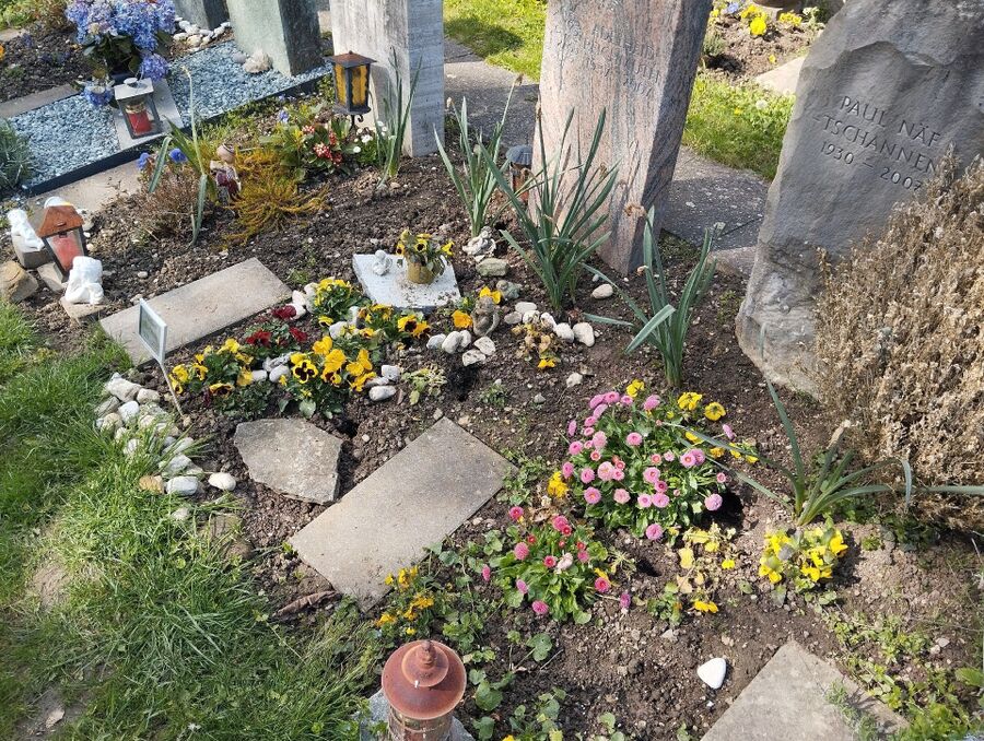 ratten_bekaempfung_ratten_vertreiben