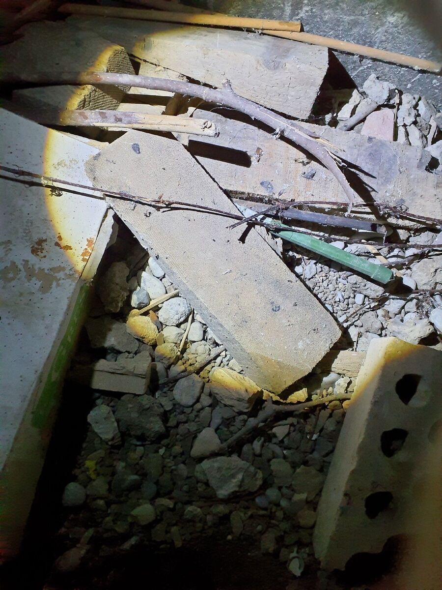 ratten_bekaempfung_ratten_vertreiben