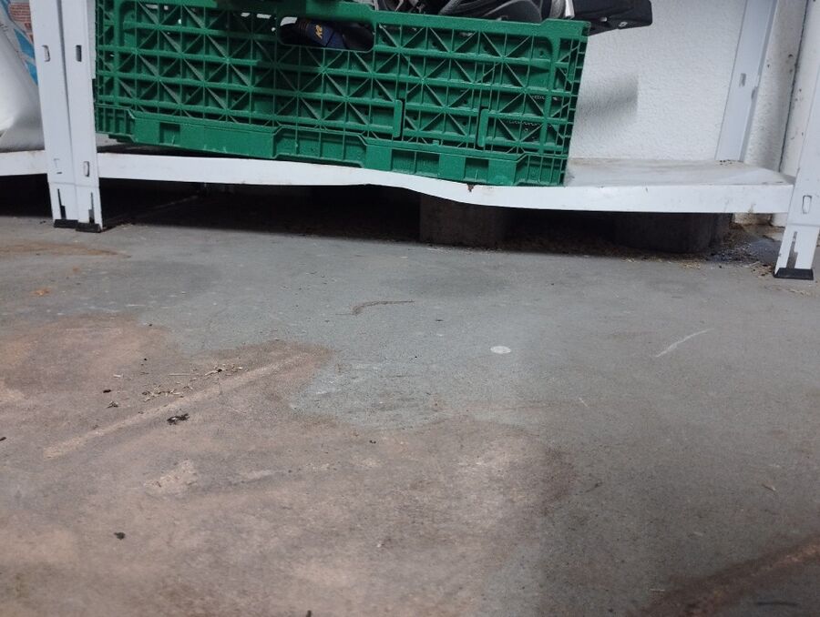 ratten_bekaempfung_ratten_vertreiben