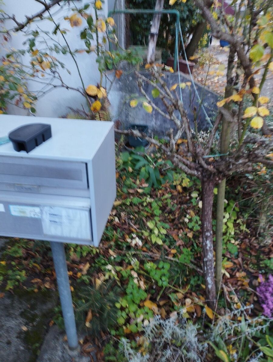 ratten_bekaempfung_ratten_vertreiben