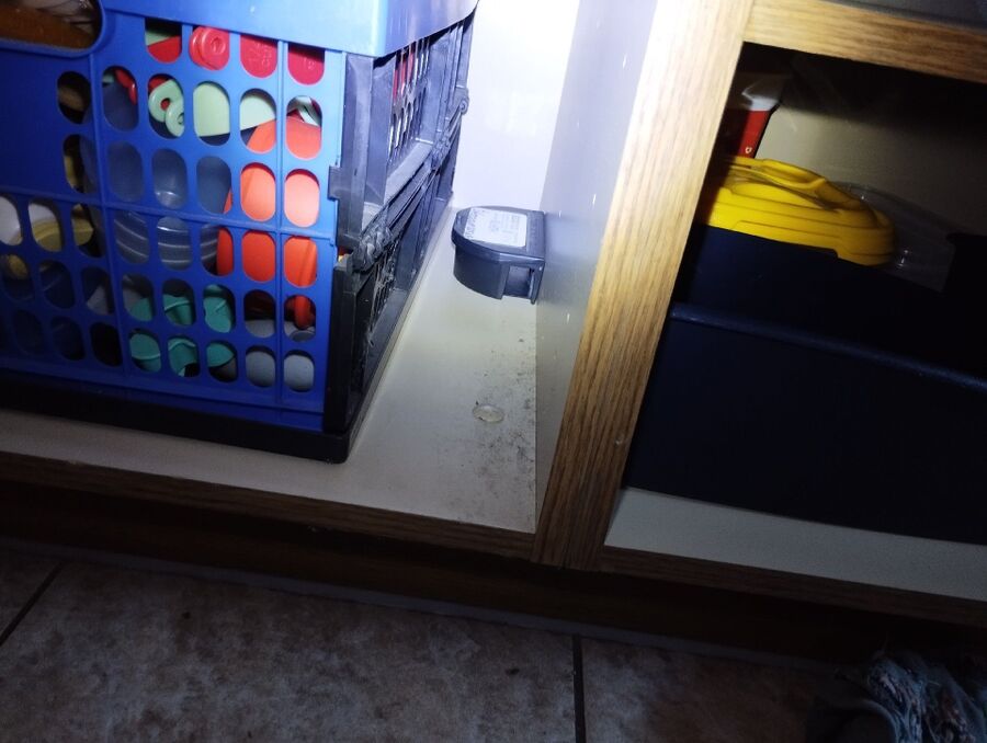 ratten_bekaempfung_ratten_vertreiben