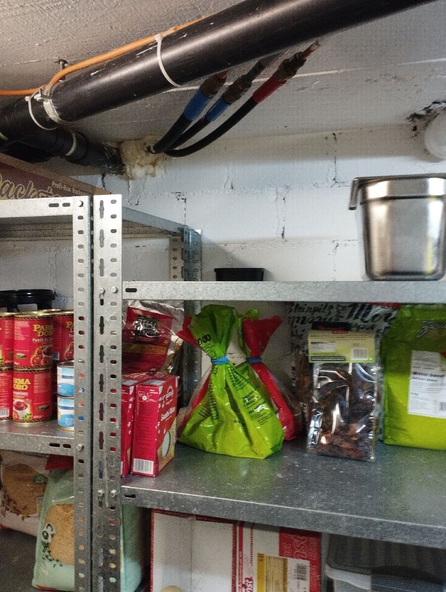 ratten_bekaempfung_ratten_vertreiben