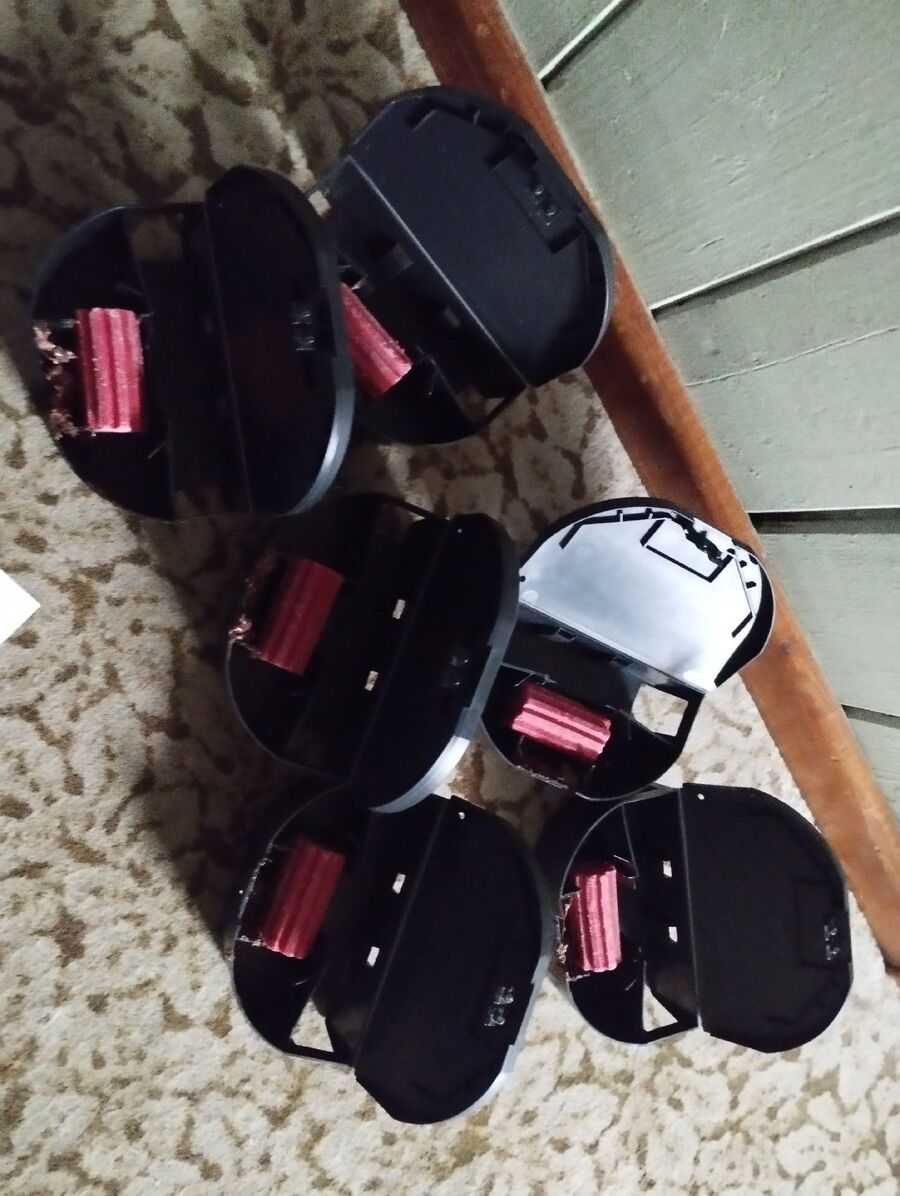 ratten_bekaempfung_ratten_vertreiben