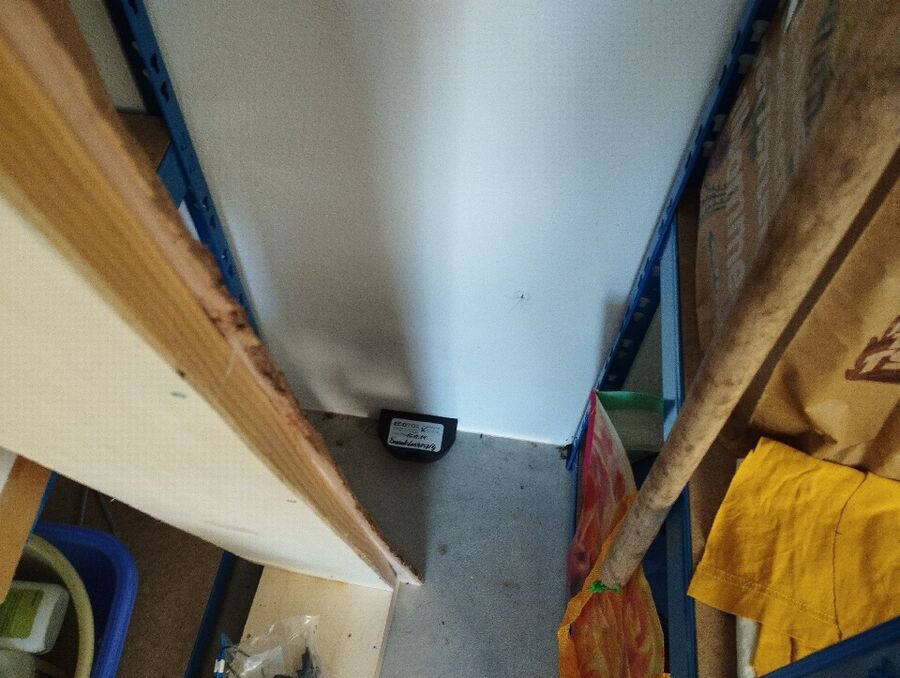 ratten_bekaempfung_ratten_vertreiben