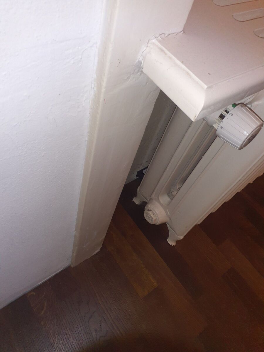 ratten_bekaempfung_ratten_vertreiben