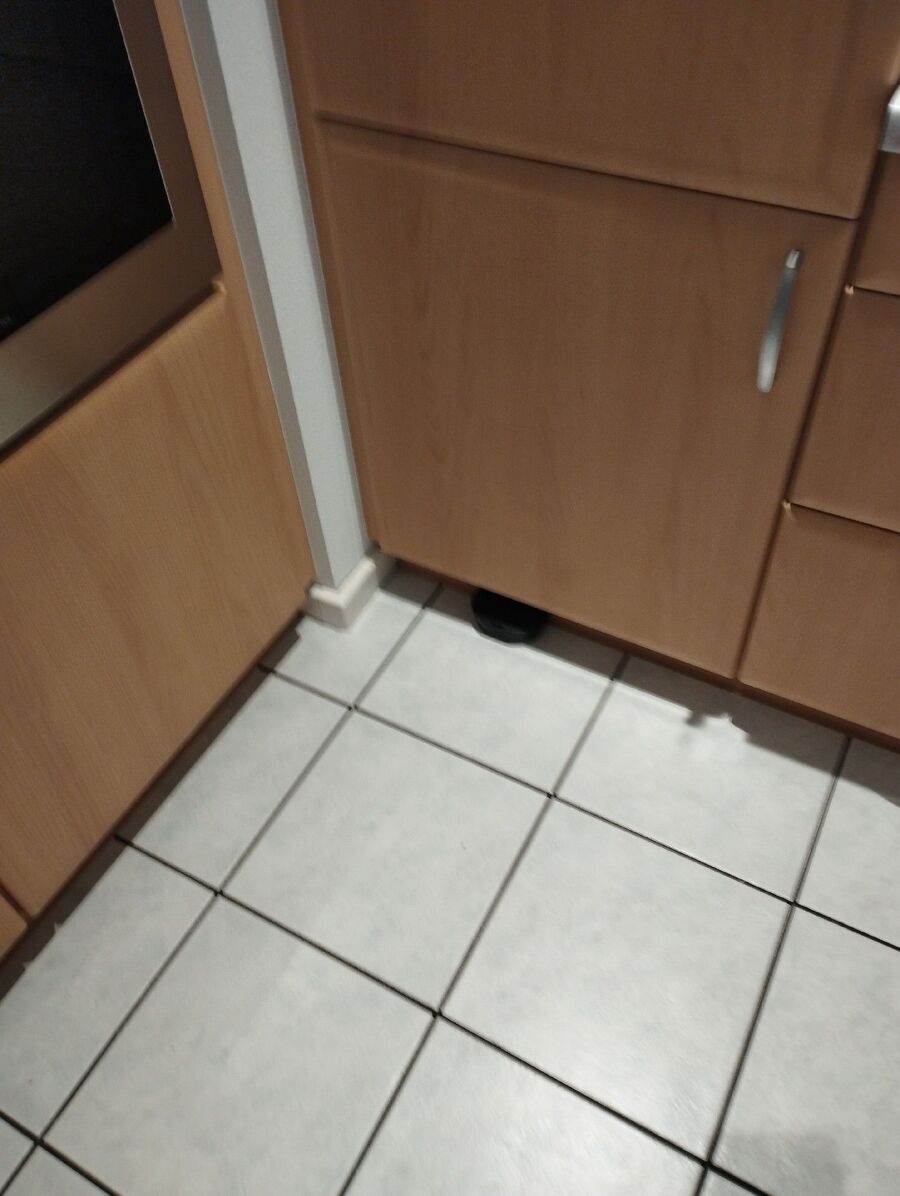 ratten_bekaempfung_ratten_vertreiben