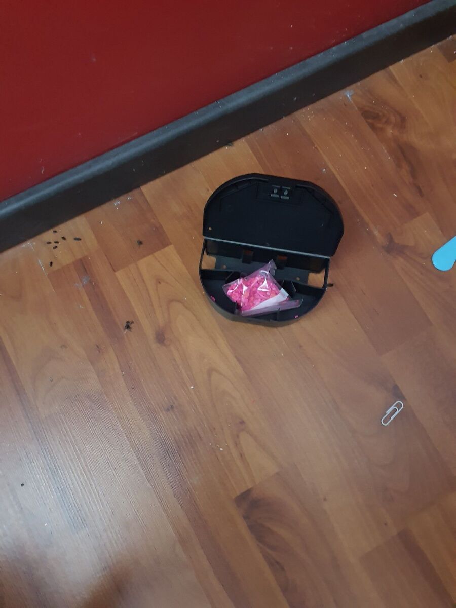 ratten_bekaempfung_ratten_vertreiben