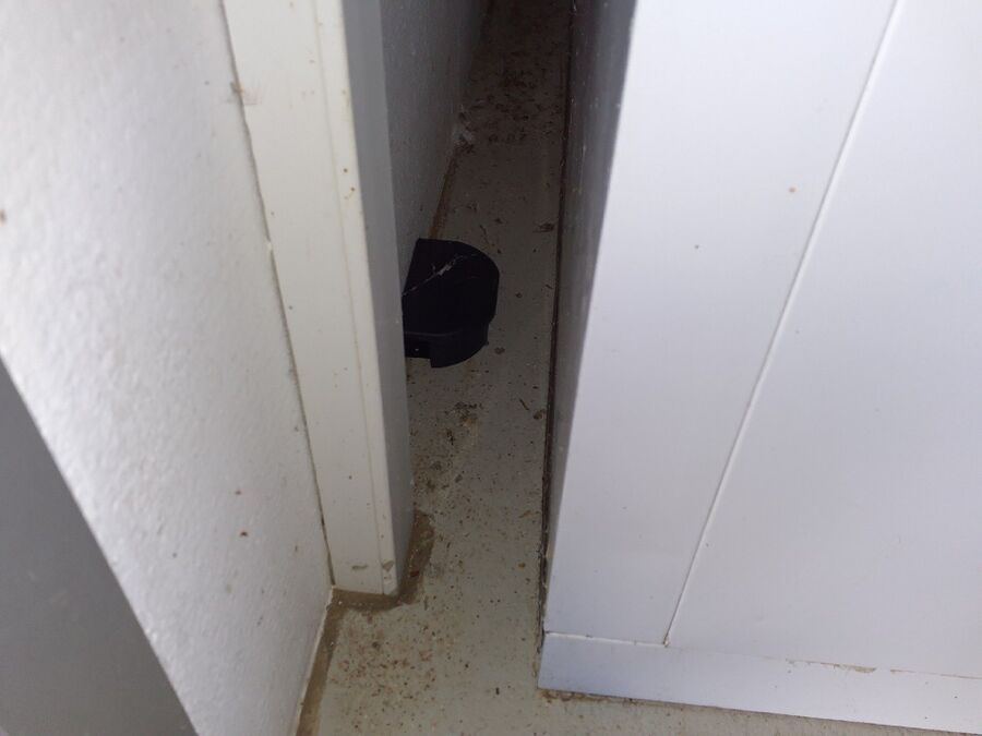 ratten_bekaempfung_ratten_vertreiben