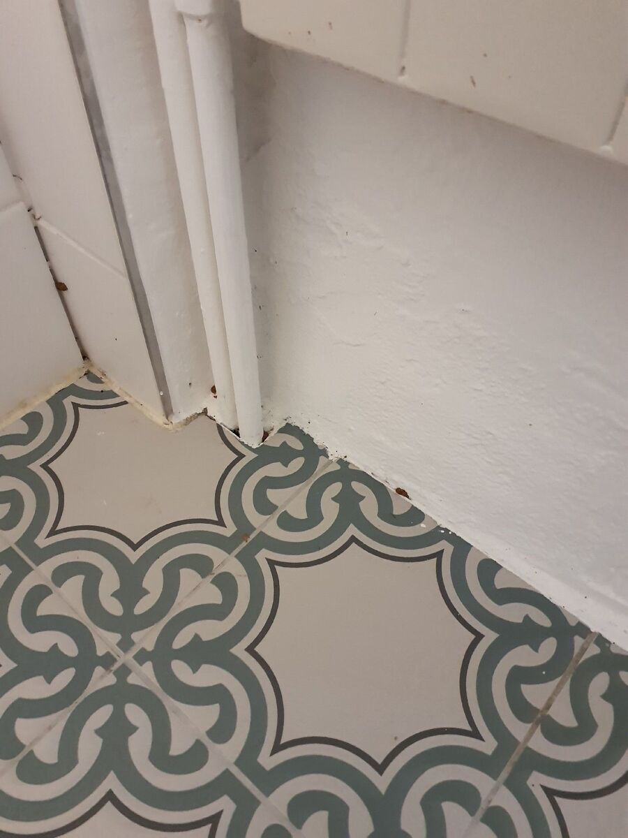 ratten_bekaempfung_ratten_vertreiben